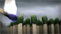 Deforestation Comparison Ads Image 4