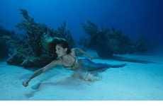 Real-Life Mermaids