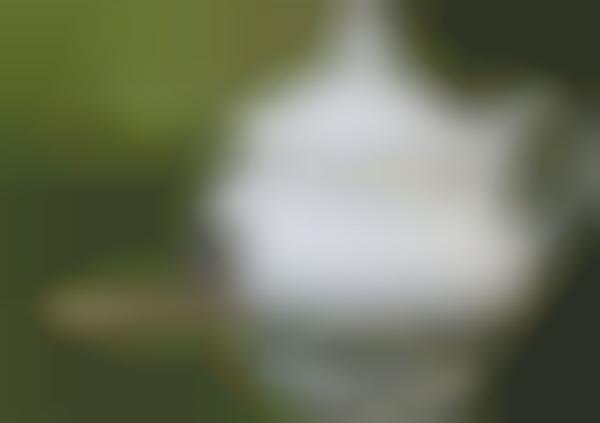 Coffee Pot Birdhouses