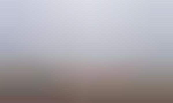 Fog-Filled Photography