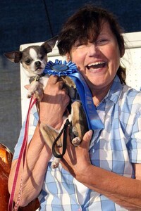 Canine Beauty Queens Image 3