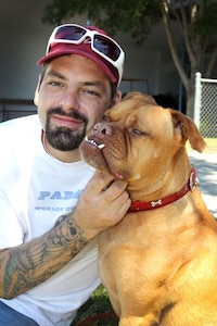 Canine Beauty Queens Image 4