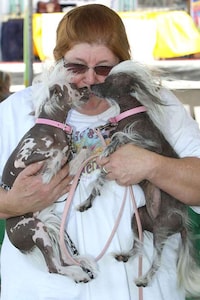 Canine Beauty Queens Image 5