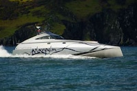 Very Slender Vessels Image 2