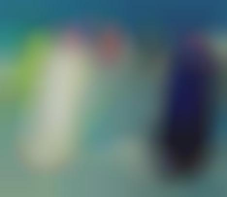 Designer Asthma Inhaler Cases