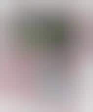 Youtube Enabled Cameras
