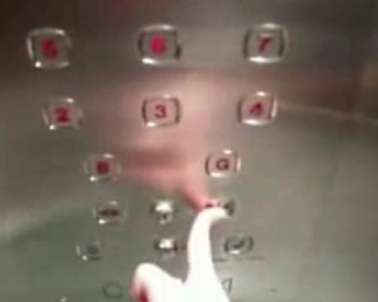 Real Life Hacks