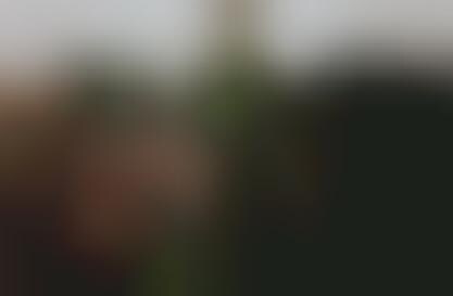 Oxford Uses Facebook to Find and Fine Students