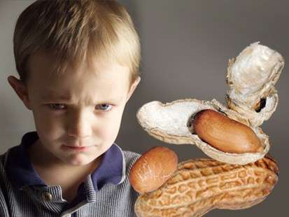Allergy-Free Peanut In Development
