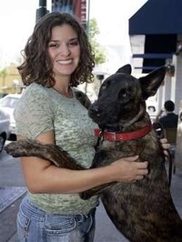 Pet Rentals Image 2