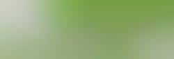GreenPrint Saves Trees & Sanity