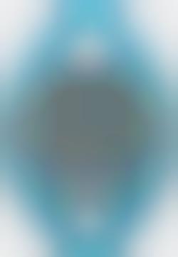 iControl for iPod