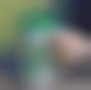 reebok pump heineken