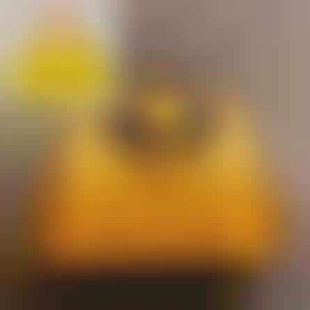 Amateur Bag Designers