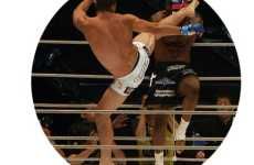 Mixed Martial Arts Kicks Boxing Where It Hurts