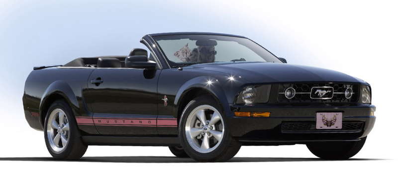 Ford Targets Sally