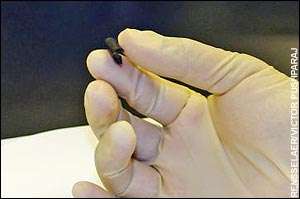 Paper-Thin, Flexible Battery
