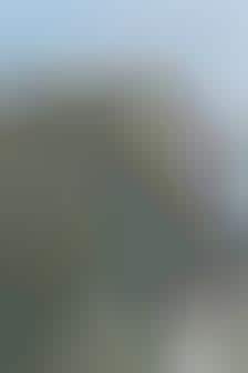 Elephants Get Photo ID