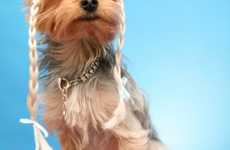 Wigs For Dogs (Follow Up)