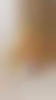 Baby Clothes Rentals