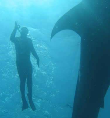 Extreme Tourism