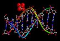 Scientists Say Synthetic Life Is 3-10 Years Away Image 3