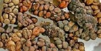 Animal Poo Coffee Knock-Offs (FOLLOW-UP)