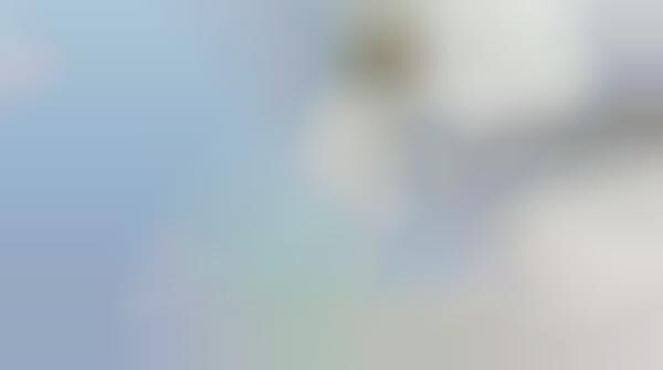 Social Tagging Via SMS