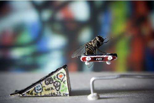 Great Photos In A Small World