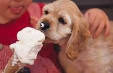 Ice Cream For Dogs