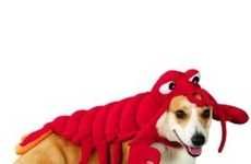 Crustacean Canine Wear