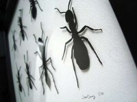 Fake Insect Collectibles Image 2