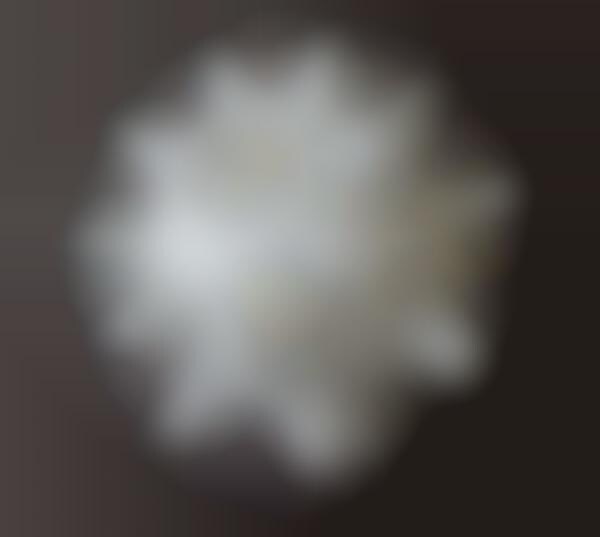 Braille Education Balls
