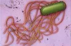 Computer Science Breakthroughs