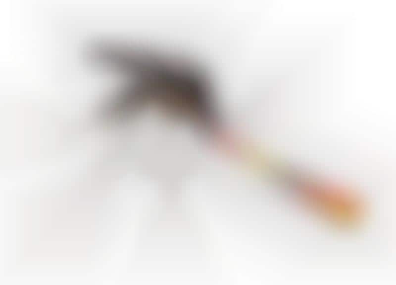 13 Pest-Repelling Inventions