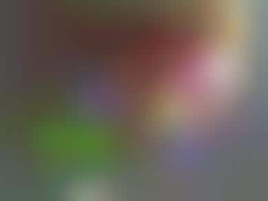 Guerrilla Freecycle Initiatives