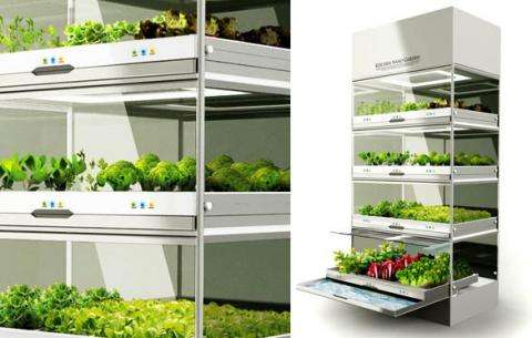 Hydroponic Indoor Gardens