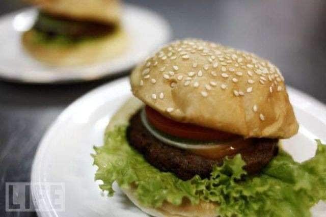 Snake Burgers