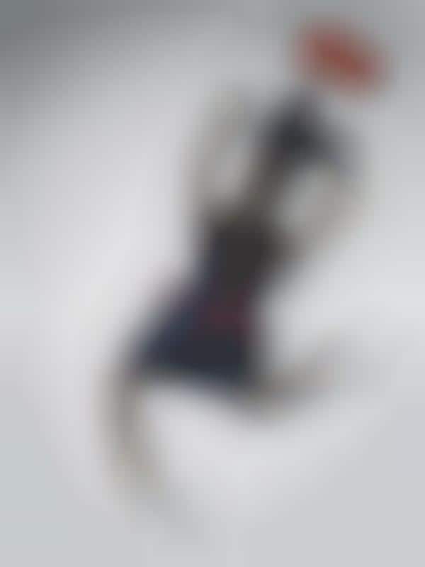 Designer Mannequin Photography