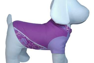 Puppy Sun Protectors
