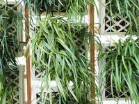 Edible Eco Structures Image 2