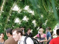 Edible Eco Structures Image 4