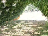 Edible Eco Structures Image 6