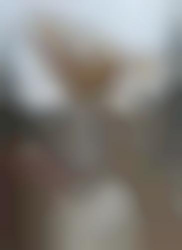 Four-Legged Pageants (UPDATE)