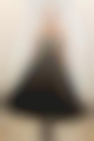 Embroidered Gothic Gowns