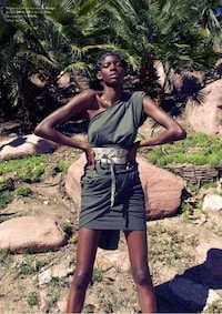 Blazing Jungle Editorials Image 7