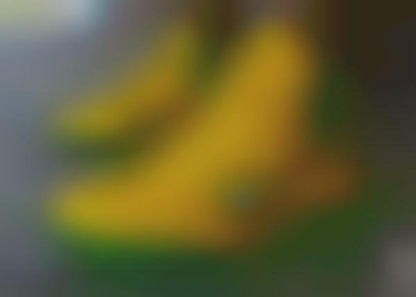 Carnival Court Kicks