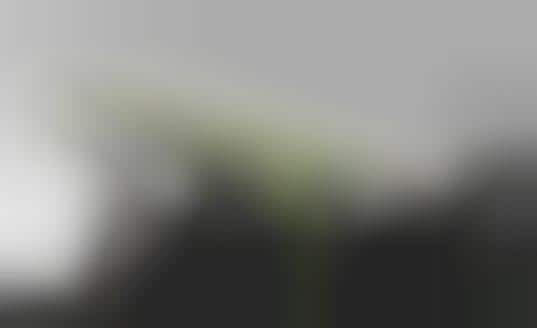 Sky-High Pixelated Cities