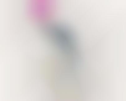 Penguin Personality Campaigns