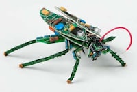 Aquatic Circuit Board Art (UPDATE) Image 6